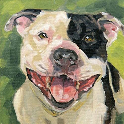 Zhyaunz 5D DIY Diamant Malerei Kits Amerikanischer Staffordshire-Terrier-Haustier-Hund Kreuzstich-Mosaik-Stickerei Strass runder Diamant Wohnkultur 30x40cm von Zhyaunz