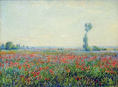 Zhyaunz Mohnfeld - DIY 5D Diamond Painting Sets - Claude Monet - Kreuzstich Stickerei Full Round Craft Art Gift 30x40cm von Zhyaunz