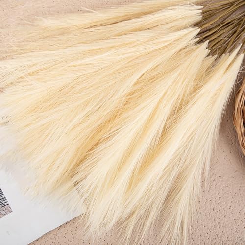 Mini Künstliche Blumen Pampas Schilf Gras Kunstblumen Home Hochzeit Dekoration Mw85102 Cremeweiß (Hellgelb) von ZiStarlilife
