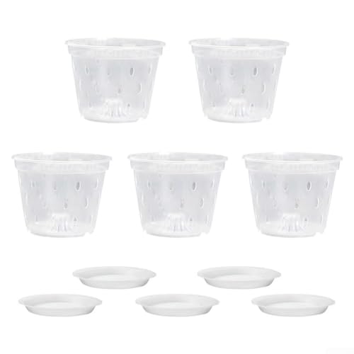ZiStarlilife 5 transparente Kunststoff-Orchideentöpfe mit Drainagelöchern und Untersetzern, 17 cm, Pflanzbehälter für den Innenbereich, transparentes Blumentopf-Set für Wurzelwachstum (B) von ZiStarlilife