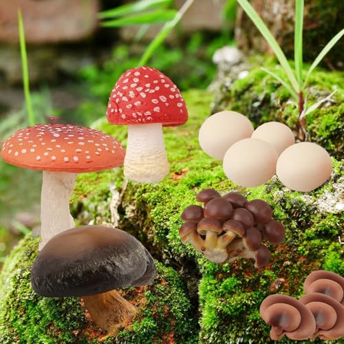 ZiStarlilife 7 Stück künstliche Pilze dekorativ realistische PVC Simulation Pilz Modelle für Haus Garten Innendekoration Natur Ornamente Raumdisplay von ZiStarlilife