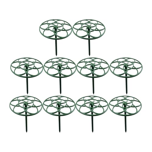 Zialofi 10 Stück Pflanzenstütze als Halbrunder Gartenstecker Blumenhalter Und Rankhilfe Stabiler Pflanzenstab für eine Gepflegte Optik für Beete Und Zialofi 10 Stück Pflanzenstütze als Halbrunder Gartenstecker Blumenhalter Und Rankhilfe Stabiler Pflanzenstab für eine Gepflegte Optik für Beete Und von Zialofi