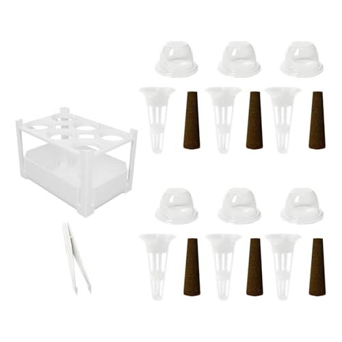 Zialofi 3 Stück Hydroponics Grower Kit Hydrokultur Pflanzkasten Gemüseanbau Box Anzuchtbehälter PP Material für Garten Balkon Lehrveranstaltung, 1 Satz Zialofi 3 Stück Hydroponics Grower Kit Hydrokultur Pflanzkasten Gemüseanbau Box Anzuchtbehälter PP Material für Garten Balkon Lehrveranstaltung, 1 Satz von Zialofi