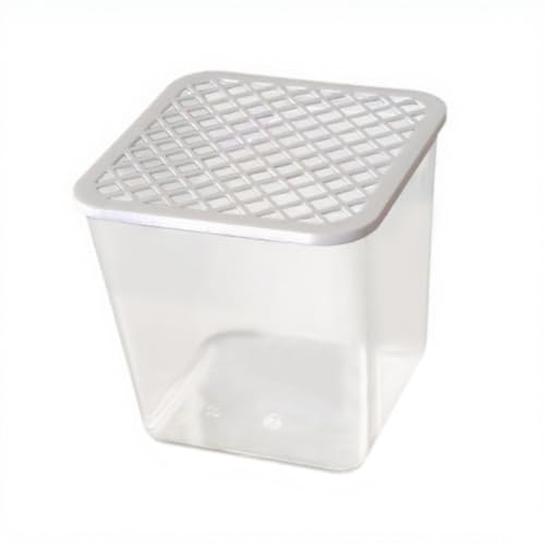 Zialofi Aquarium Mini Fischbehälter Als Und Hydrokultur Glas Sowie Schreibtischdekoration mit Transparenter Abdeckung für Einfache Pflege für was Zialofi Aquarium Mini Fischbehälter Als Und Hydrokultur Glas Sowie Schreibtischdekoration mit Transparenter Abdeckung für Einfache Pflege für was von Zialofi