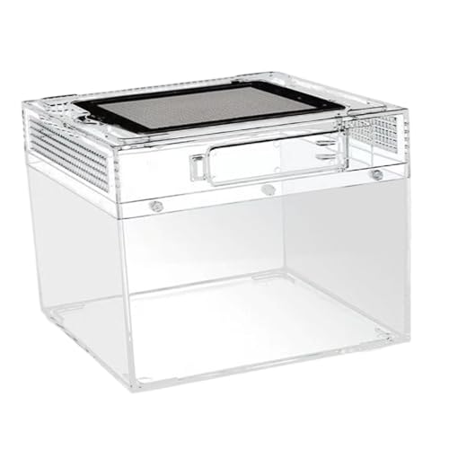 Ｚｉａｌｏｆｉ Reptilien Terrarium Transportbox Aufzuchtkasten Schildkrötenbecken Spinnenbehälter Ausbruchsicher mit Schloss für Den Transport Kleiner Reptilien Und, 20cmx20cmx15cm von Ｚｉａｌｏｆｉ