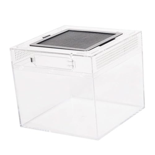 Ｚｉａｌｏｆｉ Reptilien Terrarium Transportbox Aufzuchtkasten Schildkrötenbecken Spinnenbehälter Ausbruchsicher mit Schloss für Den Transport Kleiner Reptilien Und, 20cmx20cmx18cm von Ｚｉａｌｏｆｉ