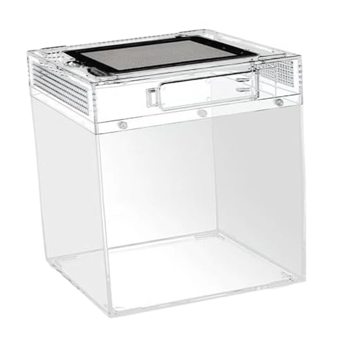 Ｚｉａｌｏｆｉ Reptilien Terrarium Transportbox Aufzuchtkasten Schildkrötenbecken Spinnenbehälter Ausbruchsicher mit Schloss für Den Transport Kleiner Reptilien Und, 20cmx20cmx28cm von Ｚｉａｌｏｆｉ