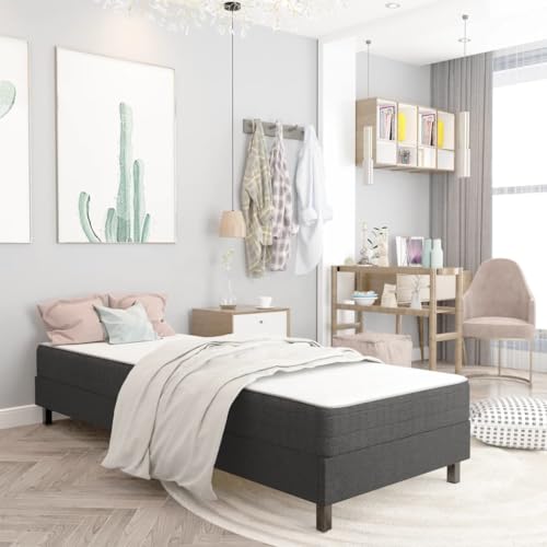 Ziaphsol Schlafzimmer Boxspring-Bettgestell Grau Stoffbezug 100x200 cm, Robustes Metall-MDF-Rahmenbett für erholsamen Schlaf, Komfortables Doppelbett-Fundament Ziaphsol Schlafzimmer Boxspring-Bettgestell Grau Stoffbezug 100x200 cm, Robustes Metall-MDF-Rahmenbett für erholsamen Schlaf, Komfortables Doppelbett-Fundament von Ziaphsol
