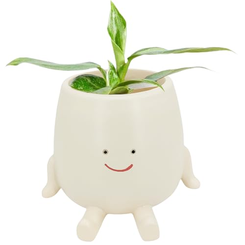 Übertopf Aus Kunstharz, Sitzendes Design, Übertopf Aus Kunstharz Für Den Außenbereich, Dekoratives Geschenk Für Pflanzenliebhaber, Gartendekoration,Kleine Töpfe Für Sukkulenten Übertopf Aus Kunstharz, Sitzendes Design, Übertopf Aus Kunstharz Für Den Außenbereich, Dekoratives Geschenk Für Pflanzenliebhaber, Gartendekoration,Kleine Töpfe Für Sukkulenten von Zibeem
