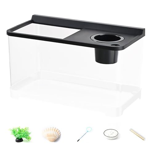 Zibeem Kleines Aquarium Mit 3 Farben Beleuchtung | Hochtransparenter Tank | Hydroponisches Tischaquarium Für Tischlandschaft Home Arbeitsplatz Eingangsbereich Schlafzimmer Zibeem Kleines Aquarium Mit 3 Farben Beleuchtung | Hochtransparenter Tank | Hydroponisches Tischaquarium Für Tischlandschaft Home Arbeitsplatz Eingangsbereich Schlafzimmer von Zibeem