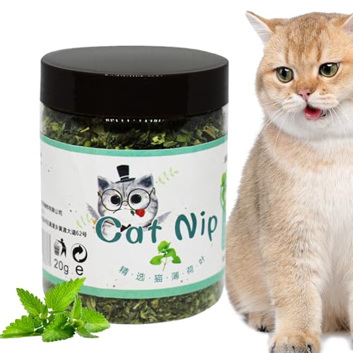 Katzenminze | Leckerli für Katzen – sicher und lecker, attraktiv, Spielset für interaktive Unterhaltung Katzenminze | Leckerli für Katzen – sicher und lecker, attraktiv, Spielset für interaktive Unterhaltung von Ziennhu