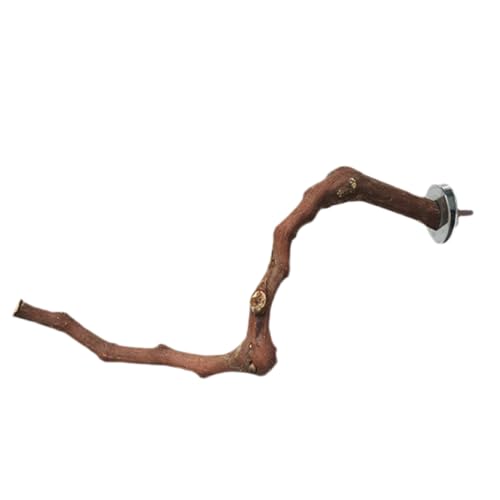 Traubenholzvogel Barsch Set | Natürlicher Papageienstand Branch & Cagge Fork | Pfotenschlüsselstick für Wellensittiche Shotets Cockatiels | Birds Cage Accessoires Multi -Zweig -Kletterspielzeug | Holz Traubenholzvogel Barsch Set | Natürlicher Papageienstand Branch & Cagge Fork | Pfotenschlüsselstick für Wellensittiche Shotets Cockatiels | Birds Cage Accessoires Multi -Zweig -Kletterspielzeug | Holz von Ziennhu