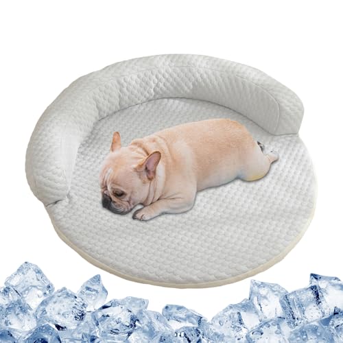 Ziennhu Erfrischender Hund Teppich - Sommerthermoregulator Kissen | Lichtlichtlichtlichtmatratze | Komfort -Accessoire Home Tiere Reisen Reisen von Ziennhu