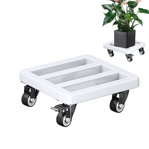 Ziennhu Pflanzenrollen Mit Rädern – Robuste Transportrollen Für Blumentöpfe | Langlebige Möbelrollen Mits Bodenschutz | Einfaches Verschieben Von Pflanzen Innen Außen Garten Balkon Ziennhu Pflanzenrollen Mit Rädern – Robuste Transportrollen Für Blumentöpfe | Langlebige Möbelrollen Mits Bodenschutz | Einfaches Verschieben Von Pflanzen Innen Außen Garten Balkon von Ziennhu
