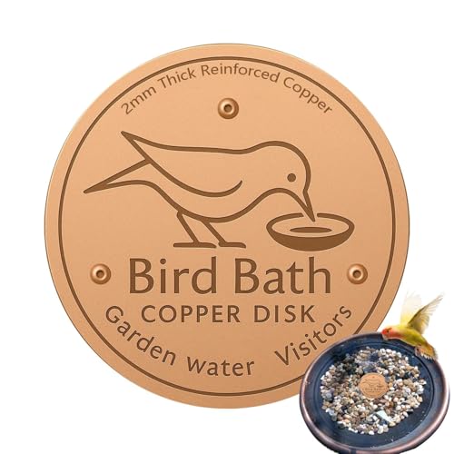 Ziennhu Vogelbad Scheibe – Runde Vogeltränke Aus Glas | Wetterfeste Gartendekoration Für Vögel | Einfach Zu Befestigen Vogelfutterstelle Vogeltränkes Outdoor Ziennhu Vogelbad Scheibe – Runde Vogeltränke Aus Glas | Wetterfeste Gartendekoration Für Vögel | Einfach Zu Befestigen Vogelfutterstelle Vogeltränkes Outdoor von Ziennhu