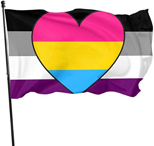Saisonale und Holiday Yard Flag Banner Asexual Ace Panromantic Pan Heart Pride Flag Themed Welcome Party Outdoor Outside Decorations Ornament Picks Home House Garden Yard Decor 3 X 5 Ft Small Flag von Zikely