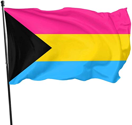 Saisonale und Holiday Yard Flag Banner Demipan Demisexual Panromantic Demi Sexual Pansexual Pan Pride Flag Themed Welcome Party Outdoor Outside Decorations Ornament Picks Home House Garden Yard Decor von Zikely
