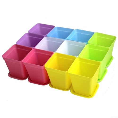 12-teiliges Mini-Blumentopf-Set mit Tabletts für Blumen- und Kräutergärten von Zilimontt