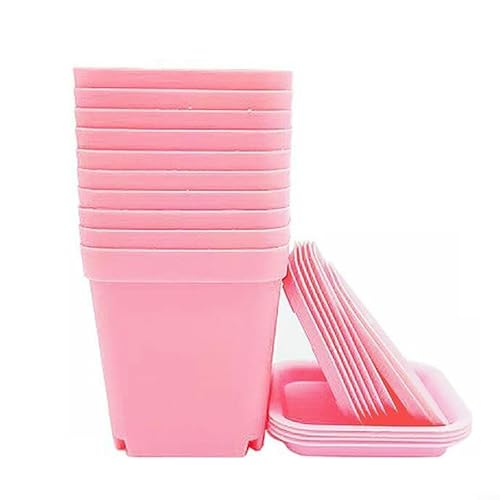 Set mit 10 quadratischen Blumentöpfen aus Kunststoff mit Abflusslöchern und abnehmbaren Tabletts, leichte Behälter für Wachstum und kleine Pflanzenpflege (Rosa) von Zilimontt