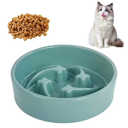 Anti Schling Napf Katze aus Keramik, 16x4.3cm Rund Anti Schling Napf Hund Katze, Antischlingnapf mit Meteormuster, Langsam Fütterung Katzennapf Einfach zu Reinigen, für Katzen & Hunde (Hellgrün) von Zimoer