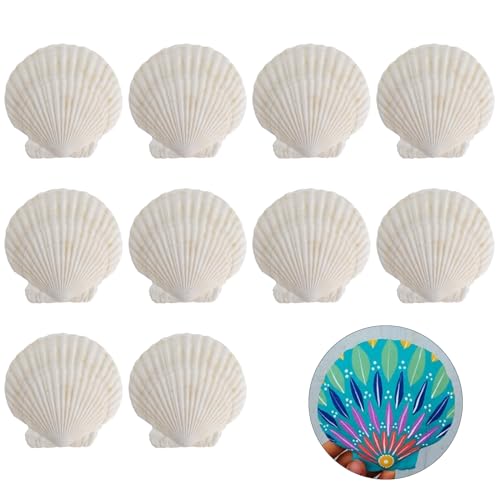 Zimoer 10 Stück Große Weiße Jakobsmuscheln, 10-13 cm Natürliche Muscheln Große Deko Muschelschalen für DIY Handwerk Grillen Strandpartys Hochzeit Heimdekoration Aquariumdekoration von Zimoer