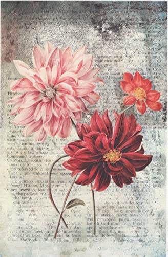 Zita´s Creative Reispapier A4 - Dahlien. Motiv-Strohseide, Strohseidenpapier, Decoupage Papier Zita´s Creative Reispapier A4 - Dahlien. Motiv-Strohseide, Strohseidenpapier, Decoupage Papier von Zita´s Creative