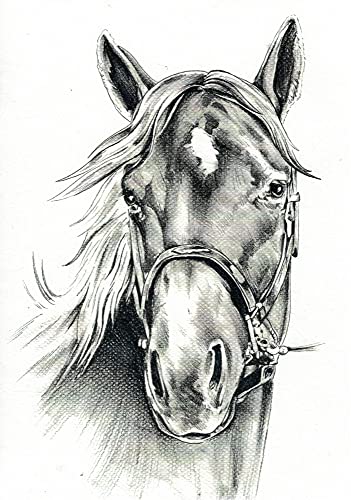 Zita`s Creative Reispapier A4 - Horse Portrait. Motiv-Strohseide, Strohseidenpapier, Decoupage Papier von Zita`s Creative