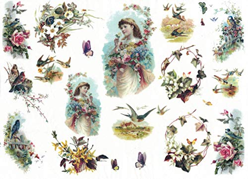 Zita`s Creative Reispapier A4 - Spring All Over. Motiv-Strohseide, Strohseidenpapier, Decoupage Papier von Zita`s Creative
