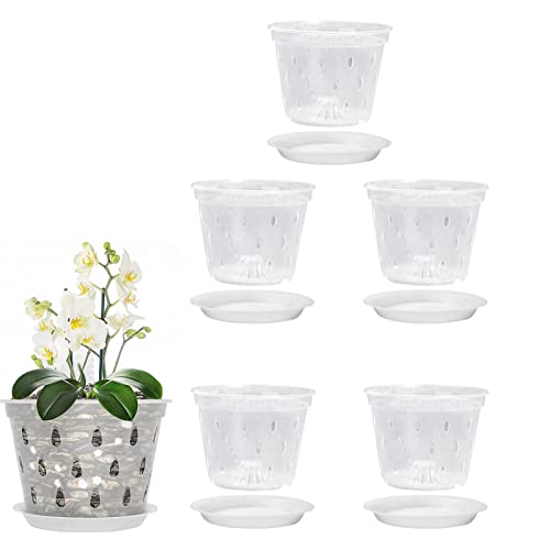 Ziurmut Clear Orchid Pots, 5pcs Transparent Flower Pots with Saucers, Garden Planters for Cactus Clivia, Portable Flower Pot for Indoor Outdoor Planting von Ziurmut
