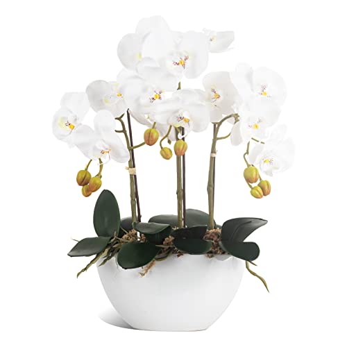 Ziwon Künstliche Orchideen in Keramiktopf, weiße künstliche Phalaenopsis-Orchideen als Tischdekoration, realistische Kunstblume in Vase, für Zuhause, Büro, Dekoration im Innenbereich von Ziwon