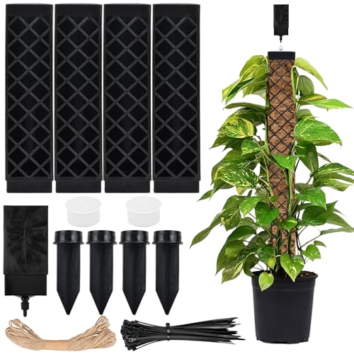 Moosstab für Monstera Rankhilfe Zimmerpflanzen 113cm Rankhilfe Monstera Pflanzstab Efeutute Pflanzenhalter, Moosstab Rankstab Rankstäbe Plastik mit Pflanzen Gießhilfe Kabelbinder für Gartenbepflanzung Moosstab für Monstera Rankhilfe Zimmerpflanzen 113cm Rankhilfe Monstera Pflanzstab Efeutute Pflanzenhalter, Moosstab Rankstab Rankstäbe Plastik mit Pflanzen Gießhilfe Kabelbinder für Gartenbepflanzung von Ziyonix
