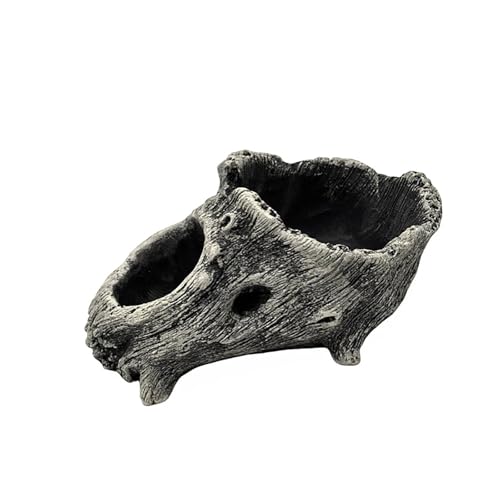 Zkydhbd Blumenpflanzer Zementtöpfe Mit Baumwurzeldesigns Für Stilvolle Arrangehalige Arrangement Home Office Dekoration Poröse Pflanzentöpfe Geeignet Zkydhbd Blumenpflanzer Zementtöpfe Mit Baumwurzeldesigns Für Stilvolle Arrangehalige Arrangement Home Office Dekoration Poröse Pflanzentöpfe Geeignet von Zkydhbd