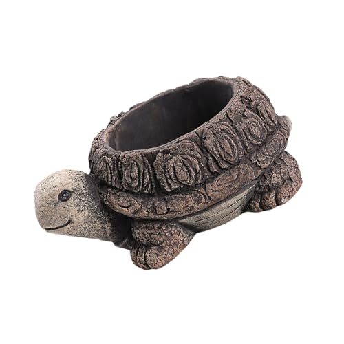 Zkydhbd Pflanzenhalter Cartoon Form Kleine Sukkulenten Töpfe Pflanzer Zementtöpfe Für Kaktusblütenanzeige Innen Freien Pflanzer Freien Zkydhbd Pflanzenhalter Cartoon Form Kleine Sukkulenten Töpfe Pflanzer Zementtöpfe Für Kaktusblütenanzeige Innen Freien Pflanzer Freien von Zkydhbd