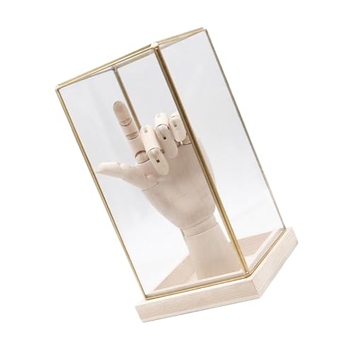 Zkydhbd Vitrine aus Glas zum Sammeln, Vitrine für Sammlerstücke, Vitrine, dekoratives Handwerk für Zuhause und Büro von Zkydhbd