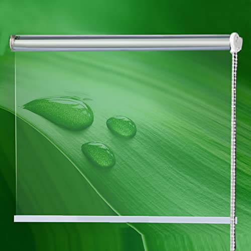Zlovne Seitenrollo Terrasse Pergola Rollos,Durchsichtige Gartenrollos Sonnenschutz Rollläden Wasserdichtes Transparentes Rollo mit Zubehör,Seitenzugrollo für Fenster,Tür,Büro (W60xH200cm/W24xH79in) von Zlovne