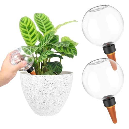 Znnhnn 2 Stück Pflanzen Bewässerungskugeln Selbstbewässerung 500ml Wasserspender Pflanzen Wasserspeicher Wasserkugeln Pflanzen Gießkugeln Im Urlaub Plant Watering Dispenser Bewässerung Topfpflanzen von Znnhnn
