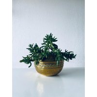 Signierter Blumentopf Aus Messing von Zoanabroc