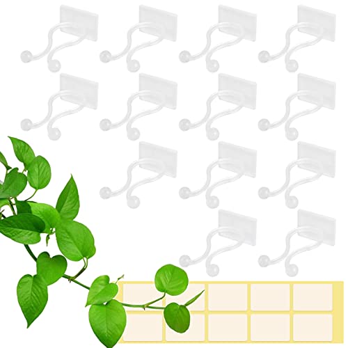 Zocipro 100 Stück Selbstklebende Pflanzenclips Kletterpflanzen, Langlebige Pflanzenstütze Wandbefestigung Ohne Bohren, Geeignet für Erstellen von Pflanzen Wand, Pflanzenhaken für Kletterpflanzen von Zocipro