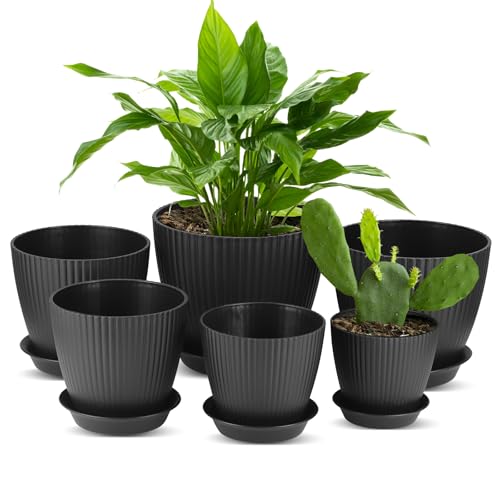 Zocipro 6 Packs Blumentopf mit untersetzer, 6 Größen Pflanzentopf 17.5/15.5/14/12.5/11.5/10cm, Blumentopf Plastik für Innen und Balkongärten, Pflanztopf, Plant Pots Set, Schwarz von Zocipro