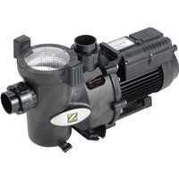 Zodiac - Pumpe FloPro 75M 0,55 kW 14,7 m3/h von Zodiac