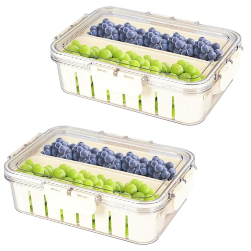 ZoeQide Snack Box mit Fächern 2er Set mit Deckel und Abtropfsieb Transparente Aufbewahrungsbox stapelbar hält Obst Gemüse und Snacks frisch Picknick Box für Küche Kühlschrank von ZoeQide