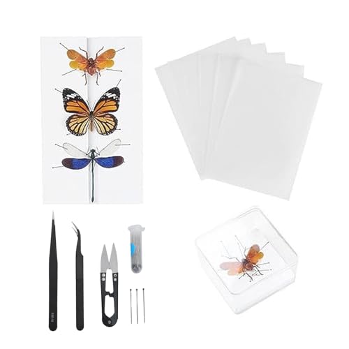 Insec t Specimen Tools Kit, Insec t Display Case, EVA Foam Pinning Board, 8 Sheets Paper Pressing, 100 Pieces Pins, Collection Box for Collecting Butter fly Specimen von Zoeyilan