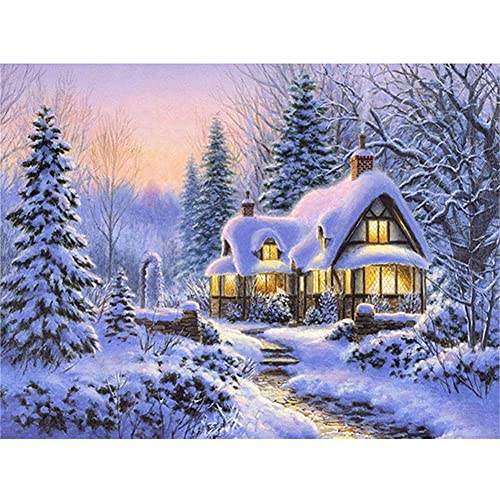 Diamond Painting 5D Diamant Painting Set,DIY Diamant Painting Vollbohrer Kit,Geschenk für Erwachsene Kinder,Wohnzimmer Schlafzimmer Wand Und Eingang Dekoration Winterlandschaft Round Drill 40x50cm von Zolne