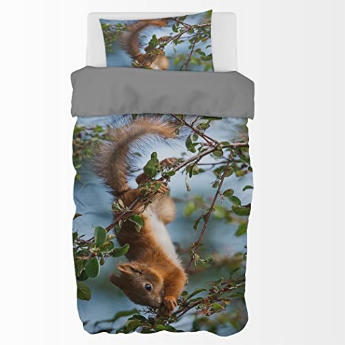 Zomer - Eichhörnchen Bettwäsche 135x200 cm Tier Microfaser Bedruckte Bettwäsche-Sets 2 teilig - 1 Flauschige Bettbezug und 1 Kissenbezug 80x80 cm von Zomer