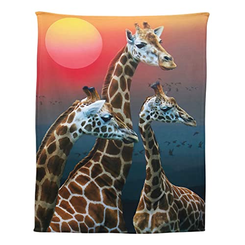 Zomer Kuscheldecke 150x200 cm Gemusterte Decke Weiche Warme Decke als Wohndecke Schlafdecke Tagesdecke oder Sofadecke mit Giraffe von Zomer