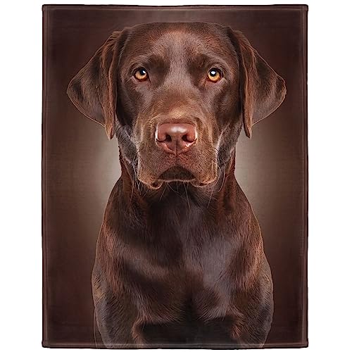 Zomer Kuscheldecke Flauschig Decke 125x200 cm Wohndecke Couchdecke Mikrofaser Sofaüberwurf Tagesdecke weiche warme Sofadecke mit Labrador Braun Motiv von Zomer