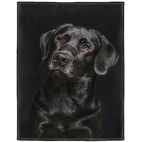 Zomer Kuscheldecke Flauschig Decke 150x200 cm Wohndecke Couchdecke Mikrofaser Sofaüberwurf Tagesdecke weiche warme Sofadecke mit Labrador Schwarz Motiv von Zomer