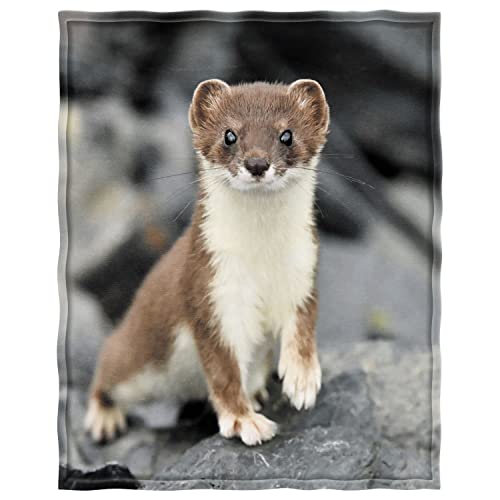 Zomer Kuscheldecke Frettchen Decke 125x200 cm Mikrofaser Wolldecke warm Winter hochwertige Blanket als Sofadecke Tagesdecke von Zomer