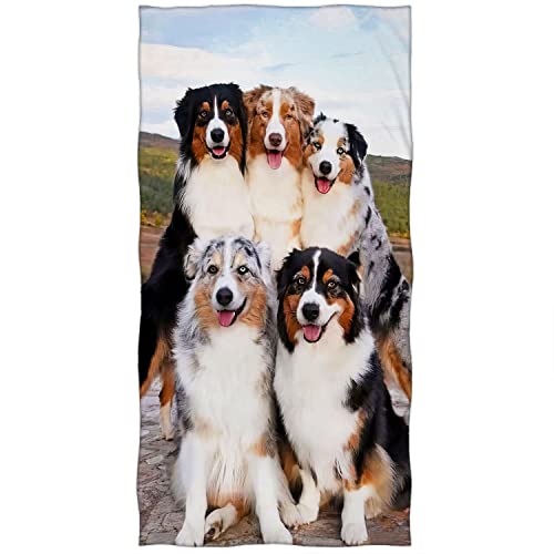 Zomer Strandtuch 70x140 cm Schnelltrocknend Badetuch Hochwertiges Mikrofaser Handtuch mit Schwarzes Pferd und Hund Motiv von Zomer