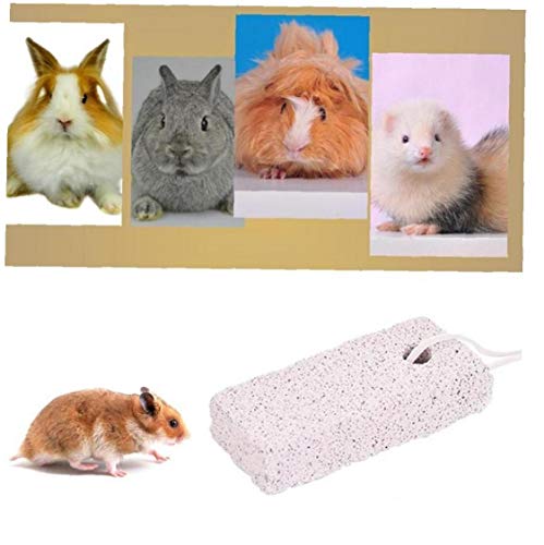 Zähne 1pc Pet Schleifstein Natürliche Calcium Mineral Zähneknirschen Chew Spielzeug Für Hamster Meerschweinchen Kaninchen Papageien Chewing-Block von Zonfer